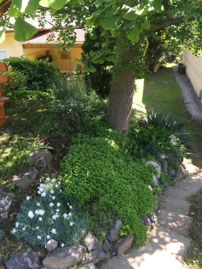 Bogoly Apartman Tokaj Eksteriør bilde